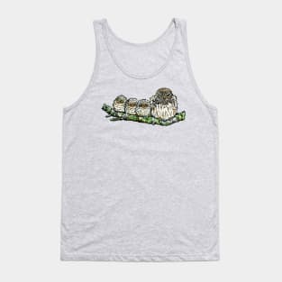 Pygmy Puffballs Northern Pygmy-owl Tank Top